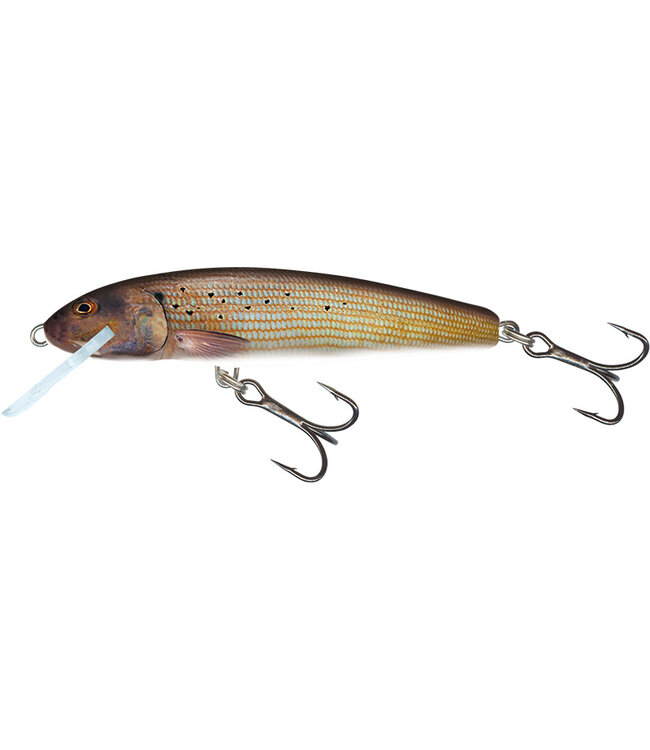 Salmo Minnow Sinking 6cm - 6g (diepte: 1-1.5m)