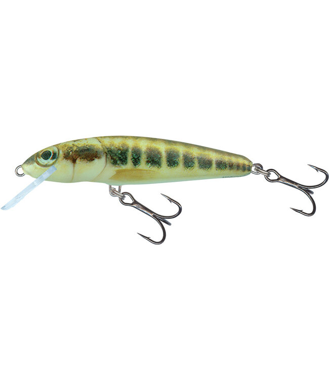Salmo Minnow Coulant 6cm - 6g (profondeur: 1-1.5m)