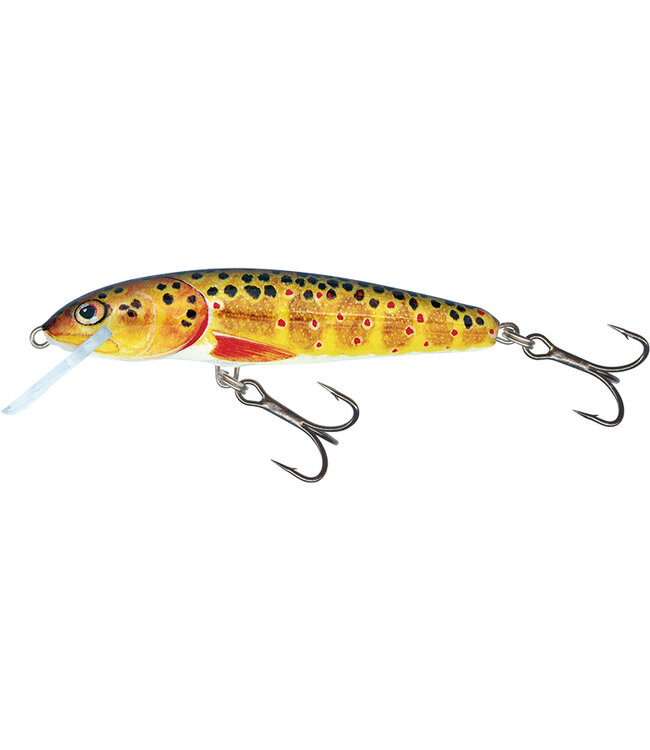 Salmo Minnow Sinking 6cm - 6g (diepte: 1-1.5m)