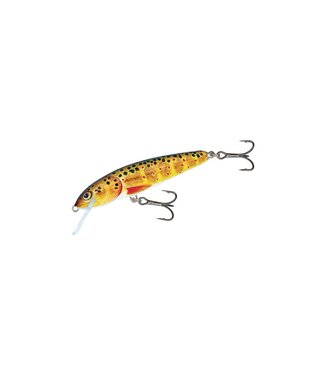 Salmo Minnow Sinking 6cm - 6g (diepte: 1-1.5m)