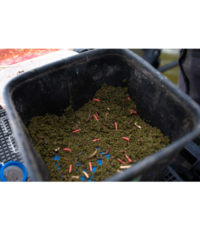 Sonubaits Pro Thatchers Appât Vert 900gr