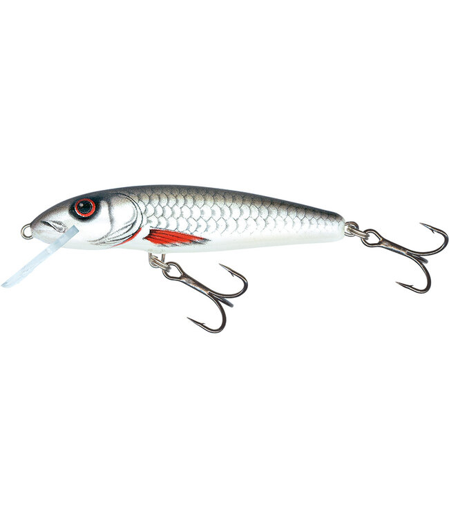 Salmo Flottant Minnow 6cm - 4g (profondeur: 0.5-1m)