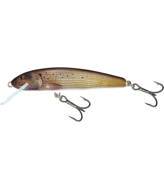 Salmo Floating Minnow 6cm - 4g (Tiefe: 0.5-1m)