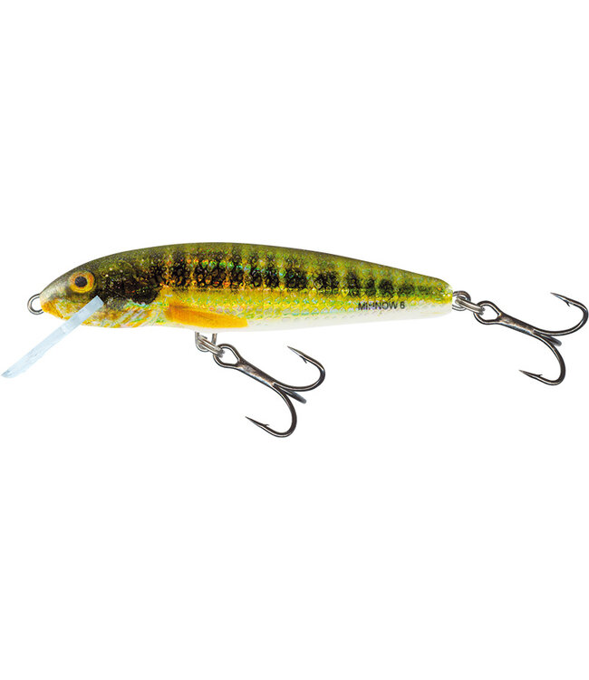 Salmo Floating Minnow 6cm - 4g (diepte: 0.5-1m)