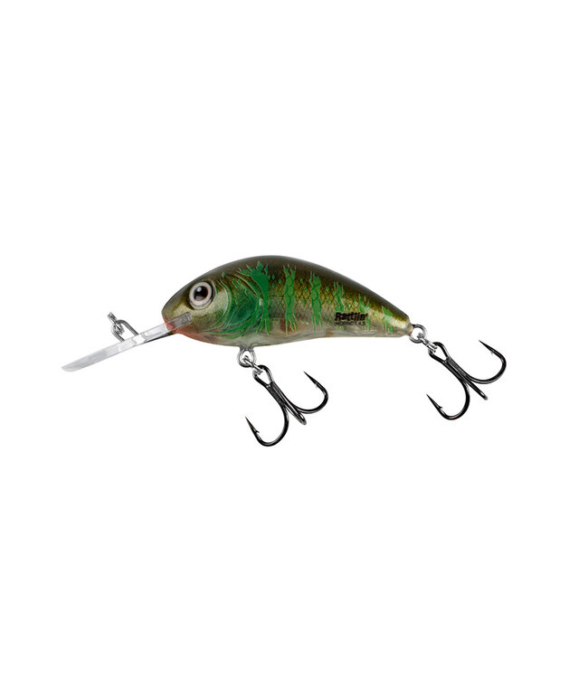Salmo Rattlin'Hornet Flottant 3.5cm - 3.1g (profondeur 1-1.8m)