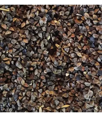 Reniers Fishing Gekuiste Boekweit – Natuurlijke Partikel voor Karper en Zoekvoer-effect