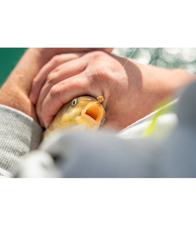 Matrix Super Soft Bait Bands (100 pcs)