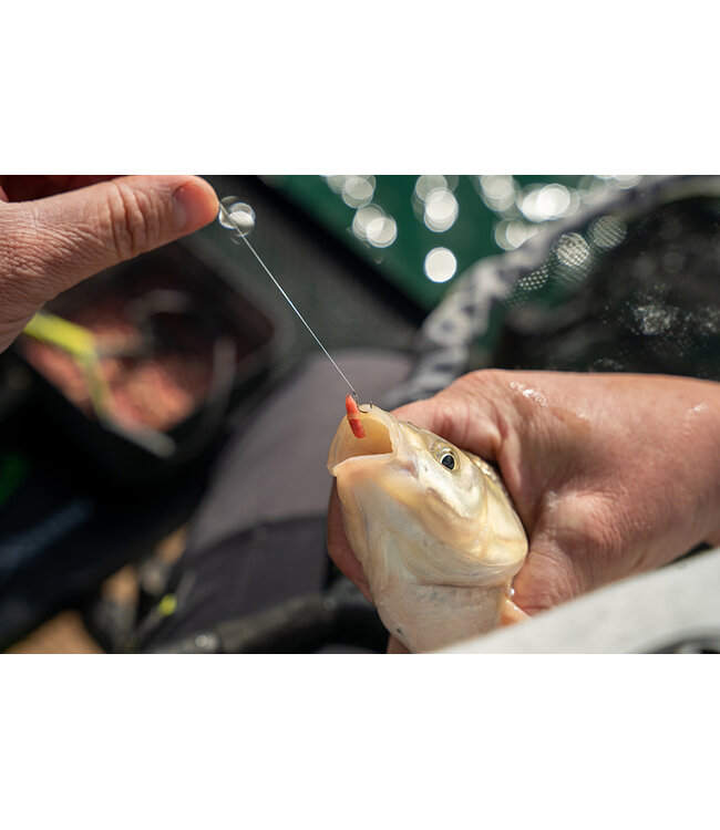 Matrix Super Soft Bait Bands (100 pcs)