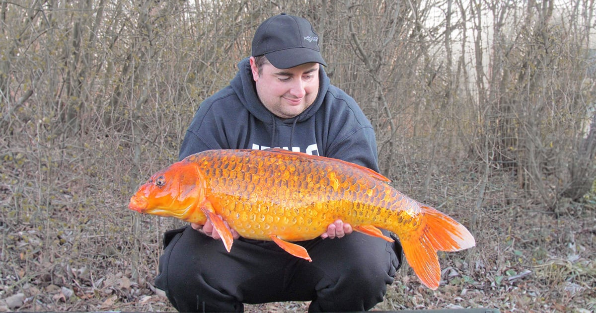 Reniers Fishing leert jou hoe je meer vis vangt in het najaar!