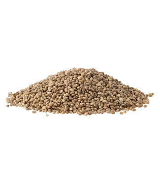 Reniers Fishing Extra Chènevis 80-90% de Pouvoir Germinatif – Chènevis de Haute Qualité pour Carpe, Feeder et Grande Canne
