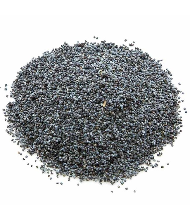 Reniers Fishing Blauer Mohnsamen 1 Kilo