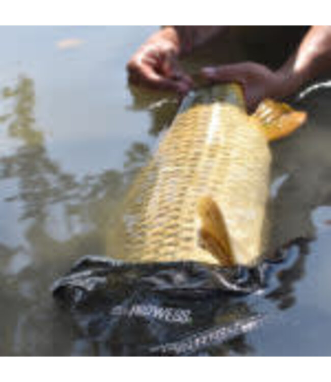 Prowess Epuisette Evocarpe