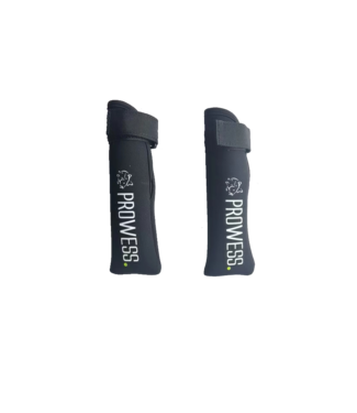 Prowess Protection de Pointes