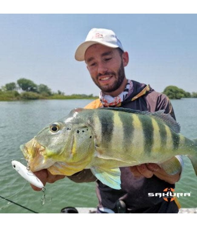 Sakura Mister Joe S 10.5cm - 23g