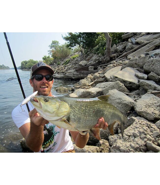 Sakura Mister Joe S 10.5cm - 23g