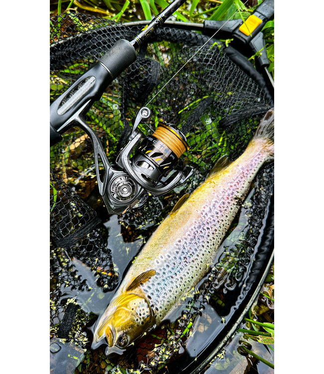 Spro Molen Specter Spin