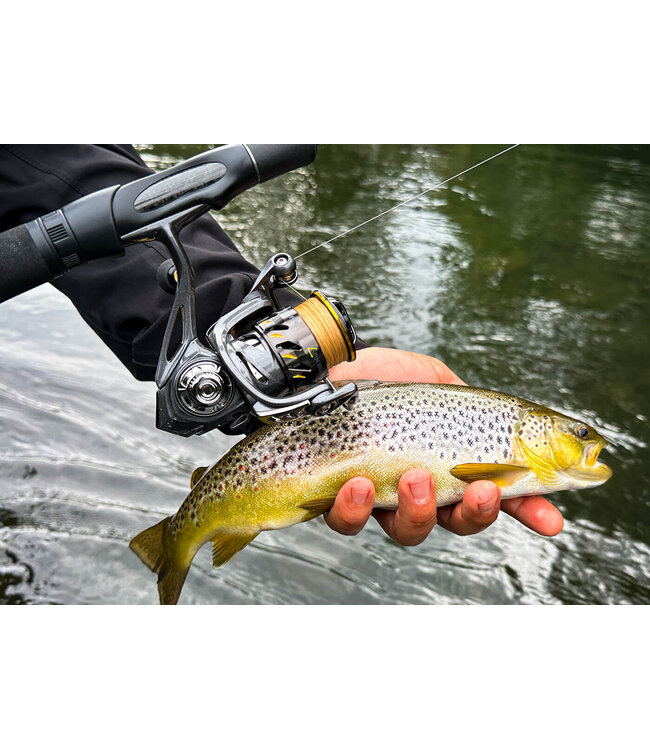 Spro Moulin Specter Spin