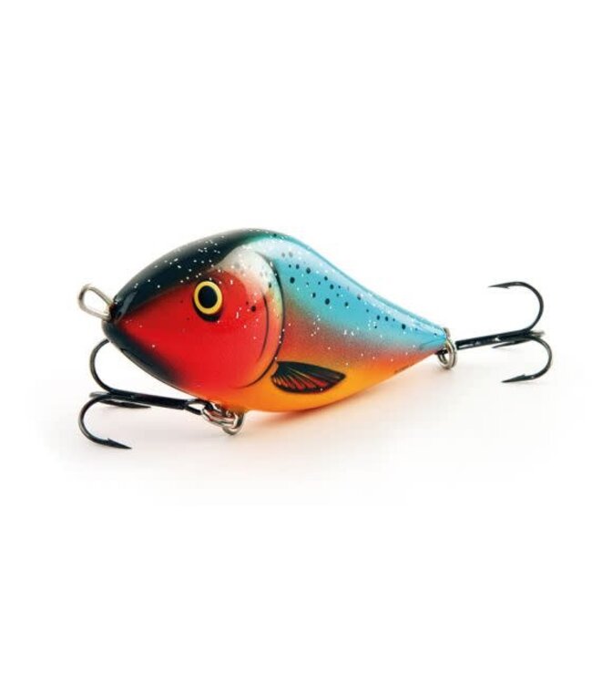 Salmo Floating Slider (10cm - 36g)