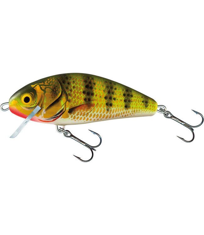 Salmo Fatso Floating 10cm - 48g (Tiefe: 0.8-1.2m)