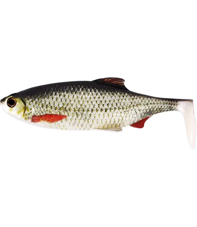Westin Ricky The Roach Shadtail 14cm 42g – Großer realistischer Rotaugen-Shad für Hecht, Zander und große Räuber – 1 Softbait