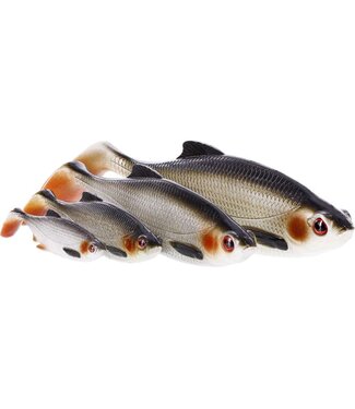 Westin Ricky The Roach Shadtail 14cm 42g – Großer Raubfisch Shad 1 Stück