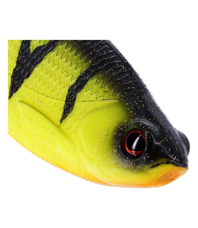 Westin Ricky The Roach Shadtail 14cm 42g – Grote Realistische Voorn Shad voor Snoek, Snoekbaars en Grote Roofvis – 1 Softbait