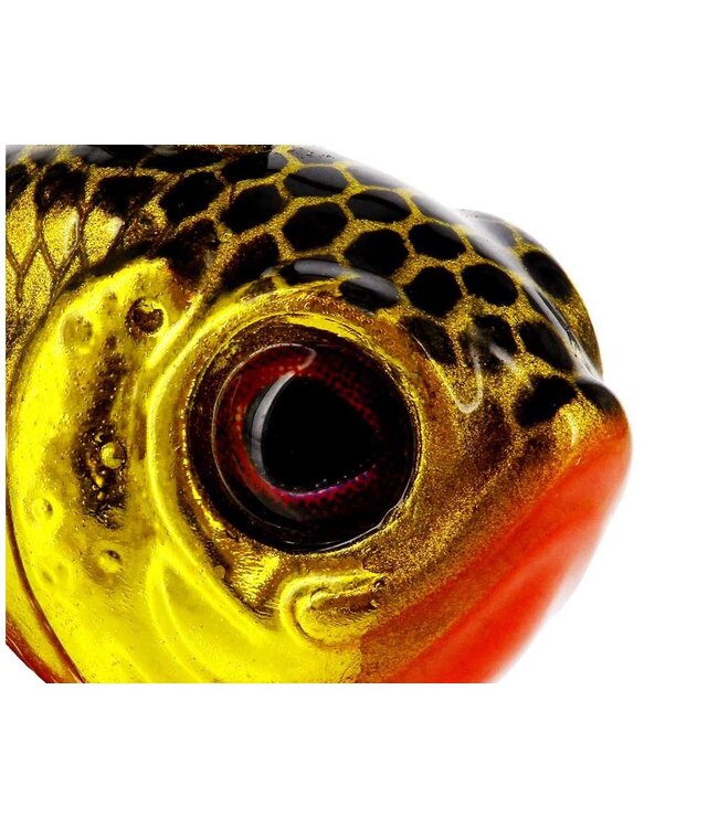 Westin Dropbite Tungsten Spin Tail Jig 2cm 13g – Compacte Tungsten Spin Tail met Colorado Blade voor Baars, Snoekbaars en Roofblei