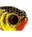 Westin Dropbite Tungsten Spin Tail Jig 2cm 13g – Spin Tail Tungsten Compact avec Colorado Blade pour Perche, Sandre et Aspe