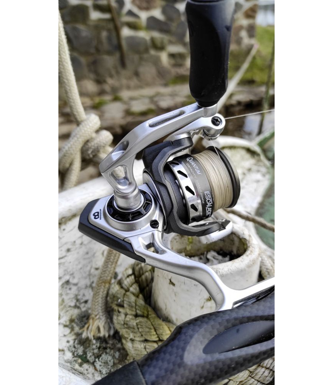 Quantum Rolle Escalade EM