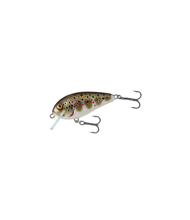 Salmo Coulant Butcher 5cm 7gr (profondeur 1.0-2.0m)