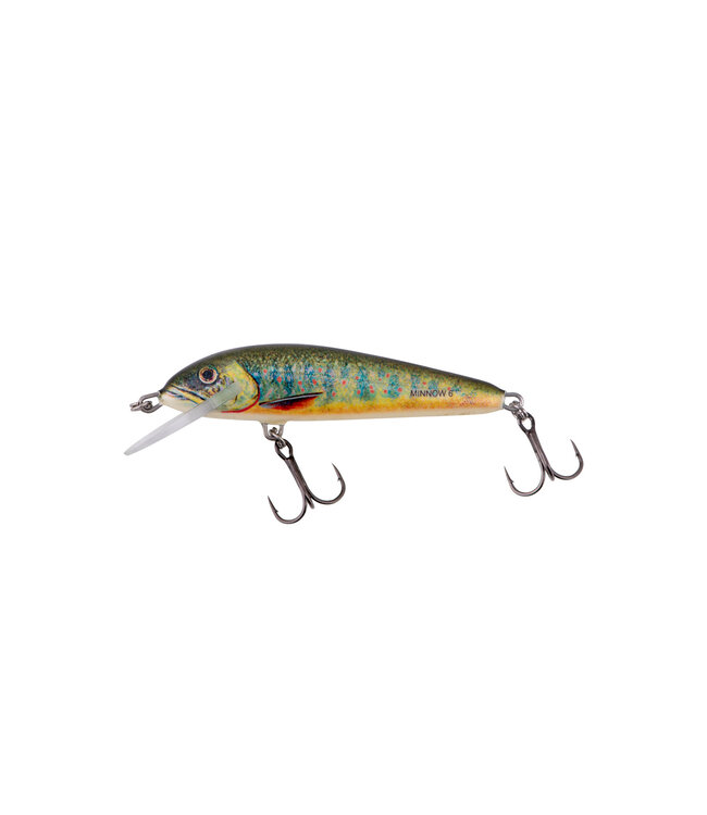 Salmo Floating Minnow 7cm - 6gr (diepte 1-1.5m)