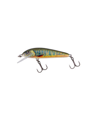 Salmo Floating Minnow 5cm 3g (diepte 0.5-1.0m)