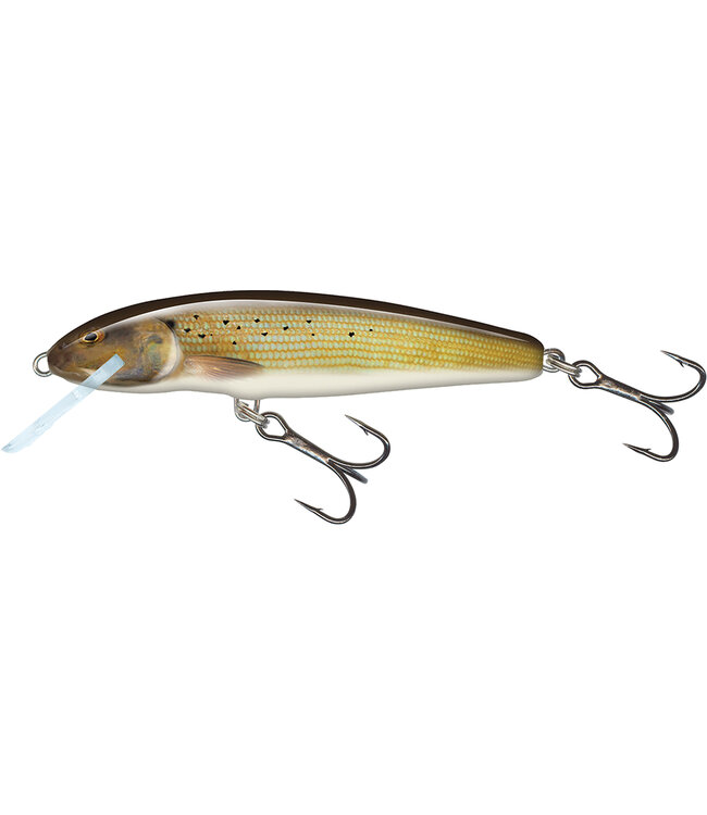 Salmo Flottant Minnow 5cm 3g (profondeur 0.5-1.0m)