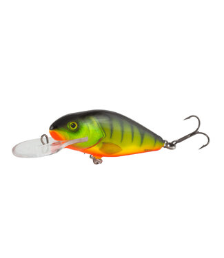 Salmo Flottant Perch 8cm 12gr (profondeur 0.5-2m)
