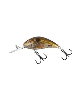 Salmo Floating Rattlin’ Hornet 5.5cm 10.5g Pearl Shad Clear