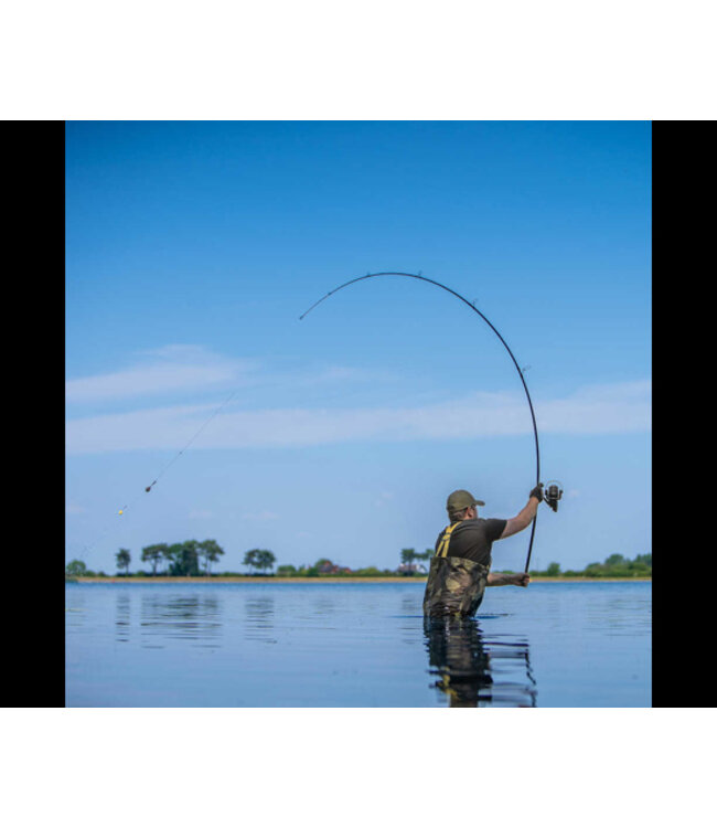 Avid Carp Canne Revolve