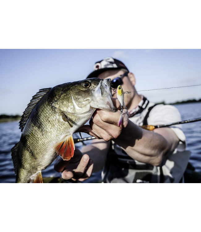 Quantum Spin Jig UV Active 10g 3.2cm