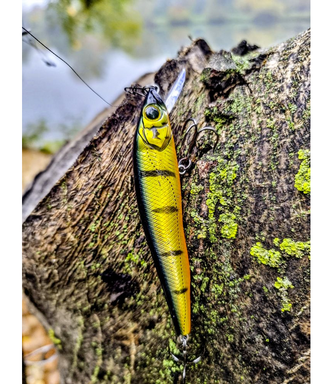 Quantum Q Crank Slim Minnow SR 9.5cm 11.5g (profondeur 0-1m)