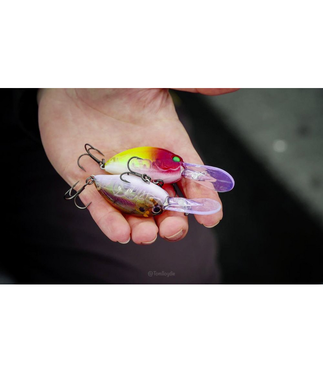 Quantum Q Crank Fat Minnow DR 6.5cm 11g (profondeur 3-4m)