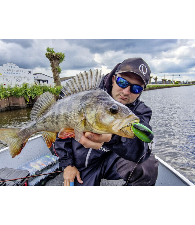 Quantum Q Crank Fat Minnow DR 4cm 6g (profondeur 1-3m)