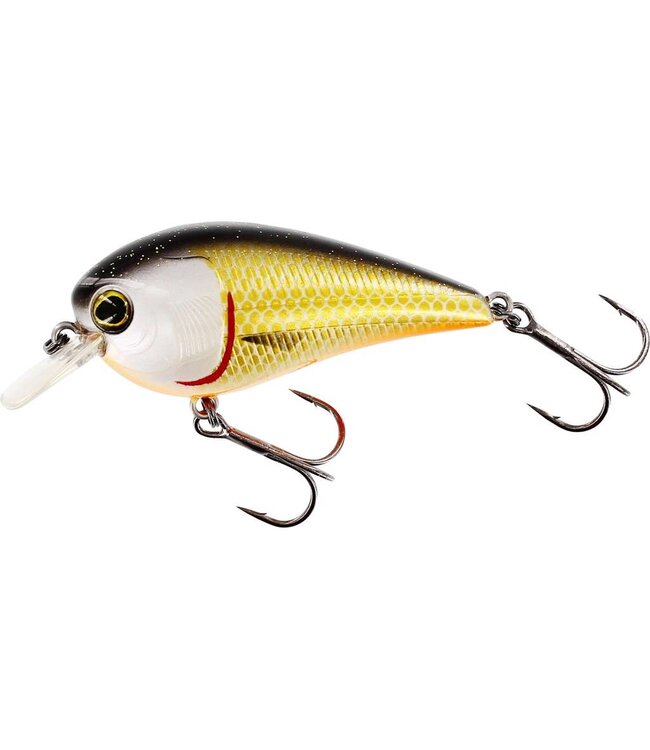 Westin BassBite Squarebill Floating 7 Cm (16 G) - Esca Crankbait Con Pala Quadrata - Colore Official Roach