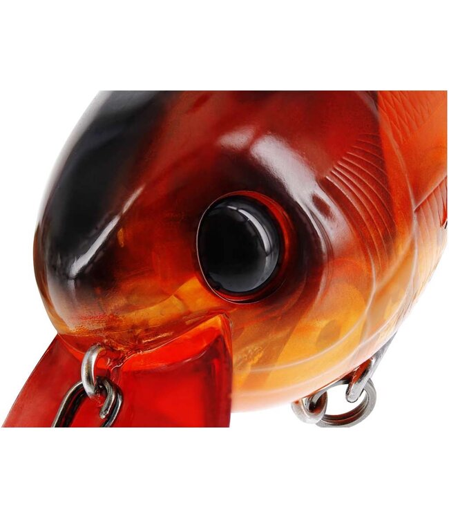 Westin Bassbite 1.5 Squarebill 6cm 13g Floating – Crankbait Squarebill Flottant avec Single Knocking Sound pour Bass, Perche et Brochet