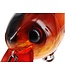 Westin Bassbite 1.5 Squarebill 6cm 13g Floating – Drijvende Squarebill Crankbait met Single Knocking Sound voor Bass, Baars en Snoek