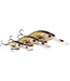 Westin Buzzbite Crankbait 6cm 10g Suspending