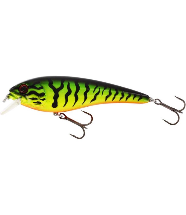 Westin Rawbite Crankbait 15cm 61g Low Floating