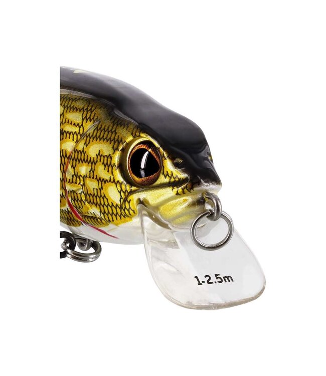Westin Rawbite Crankbait 15cm 61g Low Floating – Grote Wobbler met Rattle en Long Cast System voor Snoek, Snoekbaars en Grote Roofvis