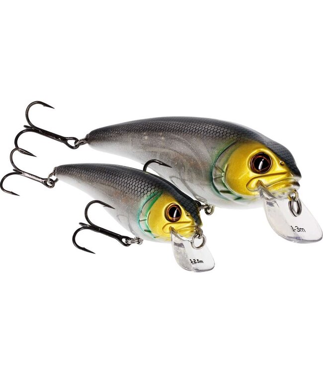 Westin Rawbite Crankbait 15cm 61g Faible Flottant