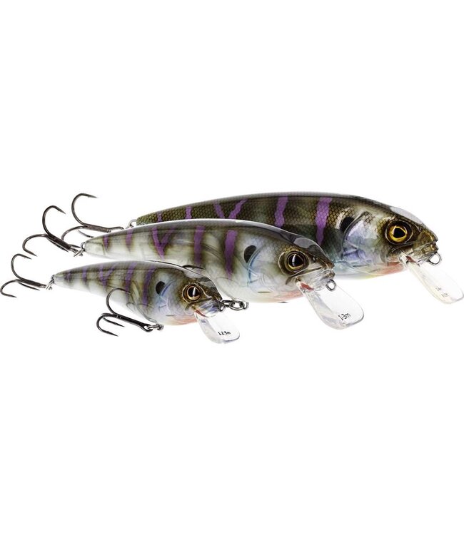 Westin Rawbite Crankbait 15cm 61g Low Floating – Grote Wobbler met Rattle en Long Cast System voor Snoek, Snoekbaars en Grote Roofvis