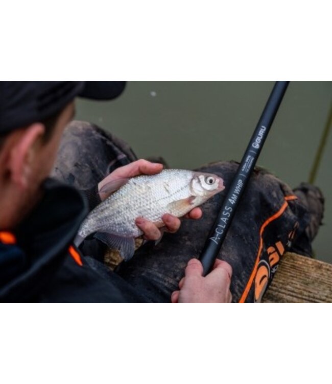 Guru A-Class Whip with Rig