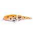 Spro Pikefighter Triple Jointed Junior 110SL 22g (profondeur 0.3-1.5m) UV Orange Koi